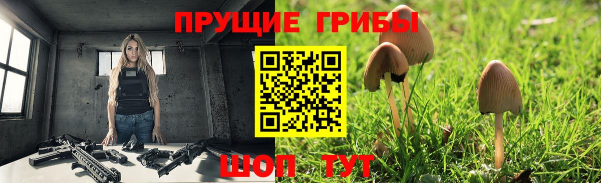 Галлюциногенные грибы мухоморы Котлас